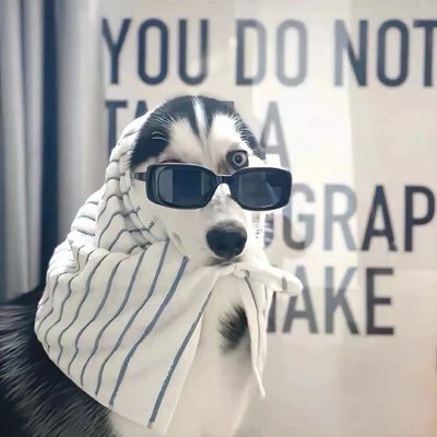 zdjjdzyyds's profile picture. 