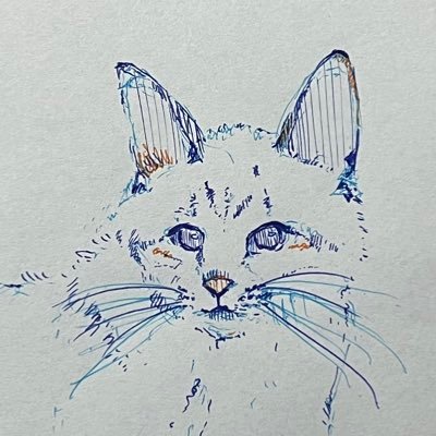 タクト🍊さんのプロフィール画像