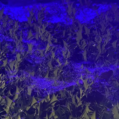 whateverrr434's profile picture. Like, Comment, & Retweet for my attention   https://t.co/mNhIMWUu6A FULL VIDS AVAILABLE