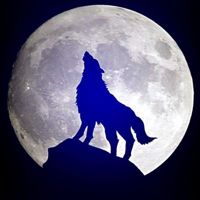 Mohamed03543102's profile picture. freedom is all what we have in this life 🤟
https://t.co/mjjNA87xkE
Plume Goon
Monad lover 💜
