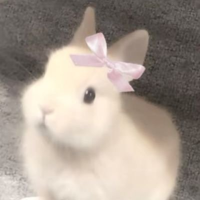 chaeyoungz__'s profile picture. ┊I use this acc to join ga, and to gbs. 
Back up: @meriluwis