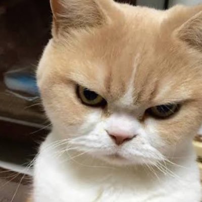 Mimics31305048's profile picture. 