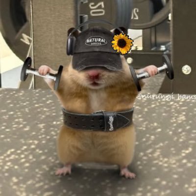 moonchipmunks's profile picture. 루시💙 항상 건강하고 행복하길🩷