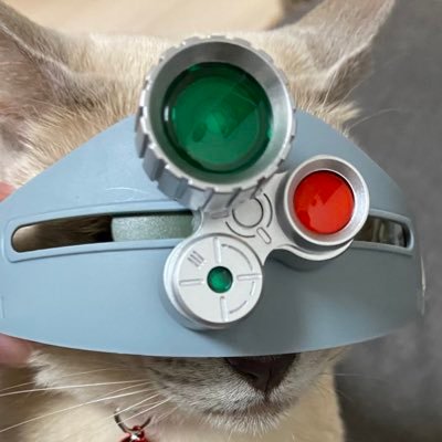 GURUKUN2022's profile picture. プラモデル🔰主にガンプラ、スパロボOG、戦術機を組んでいます。フィギュアも収集中。 ボトムズ、パトレイバーがマイブーム