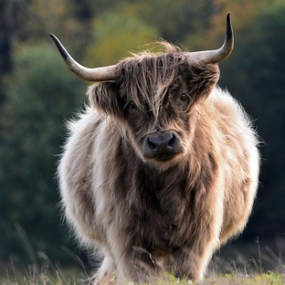 0dollar1's profile picture. getting money

https://t.co/dSVsj900mZ