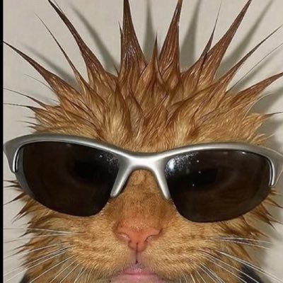 amiramng's profile picture. 