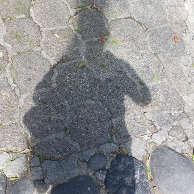 Eduardo40645121's profile picture. 