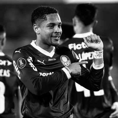 borgxsz19's profile picture. @palmeiras