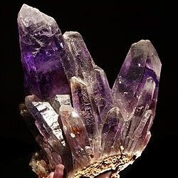 Leticia1265066's profile picture. Mineral crítica
Professora de Escola Pública
O belo, o bem, a verdade e a justiça me fizeram perder a cabeça. 
Viúva de um padre. I'M A BRAZILIAN COMMUNIST