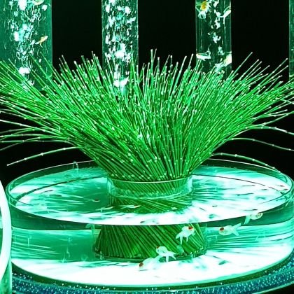 KeepingStill's profile picture. 