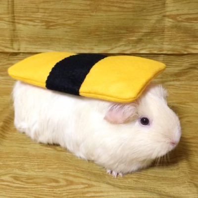 goaqhfmrlsl's profile picture. 