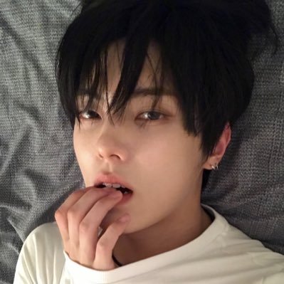 wvreiz's profile picture.