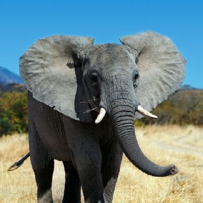 Mirajkdhungana's profile picture. Gen-Z