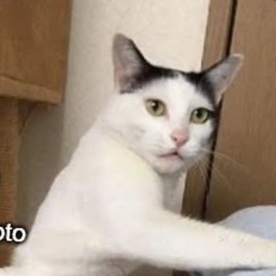 vickysoll's profile picture. Crypto Defi || Airdrop Maxi || Plume Goon || Bullish on $SUI