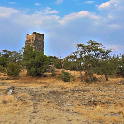 3almalki's profile picture. ‏‏‏اللهم احفظ وطنا من كل فتنة