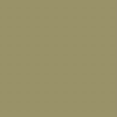 NoHouse_CTO's profile picture. CA: FYnbxe1wysgfYCyS1JKfCt5iusseEMtRCh8YU2x3pump