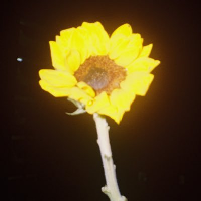 มังกร.さんのプロフィール画像
