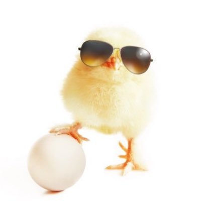 _soos4's profile picture. لاشيء يكسرني .. فأنا على إستعداد لخسارة الجميع 🐥