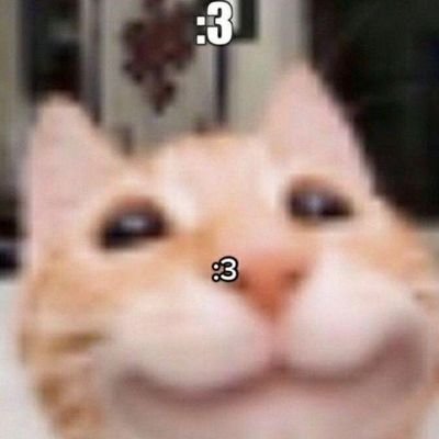 seila_taligado's profile picture. 