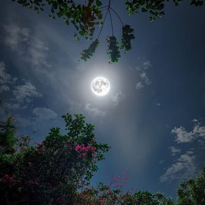 Shashank23167's profile picture. जनक सुता जग जननि जानकी। अतिसय प्रिय करुना निधान की ॥ ताके जुग पद कमल मनावउँ। जासु कृपाँ निर्मल मति पावउँ ॥ सीता राम