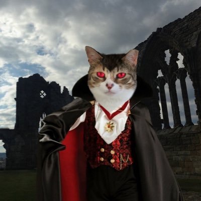 SkittlesFriends's profile picture. I'm Skittles (F) I'm the CEO of the Team there are 8 Rescue Cats, multiple Community Cats & the Big Guy we are members of #TheAviators #HedgeWatch #mogwarts