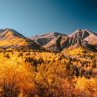 Sailor1476's profile picture. 😁 Smash the patriarchy! All things WNBA and women's sports! GO AR5 MAGA 🖕🫵 go rot