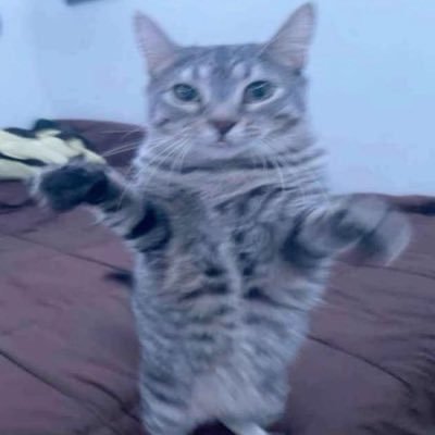 dqkvzft7qc's profile picture. 