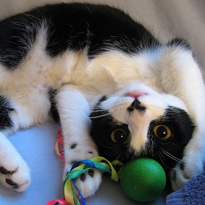 jj4610639660268's profile picture. 