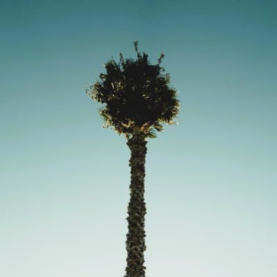 GRG_WhyPhi's profile picture. I’m 12,000 years old