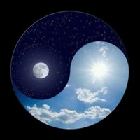 Amir Ashour (@amirashourzt) 's Twitter Profile Photo