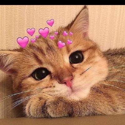 likita12362578's profile picture. my status significant joy 🤣