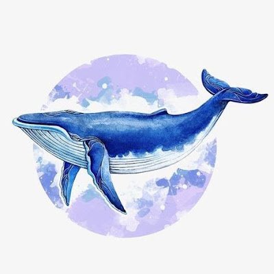 SwingWhale3's profile picture. 