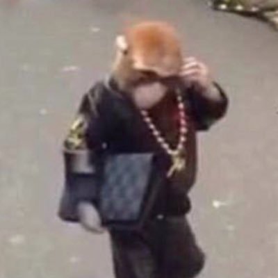 saucepoivre93's profile picture. https://t.co/6PJVEh9KTJ