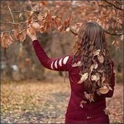 hacknergug47751's profile picture.