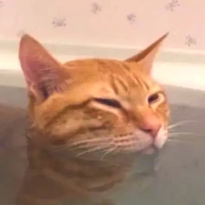 Kayniks0711's profile picture. here we go again