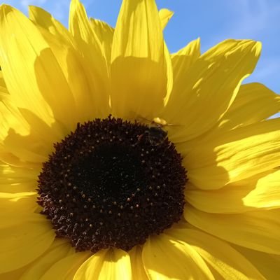 hillybackyard's profile picture. Live &Let Live, Each to their own, Explore all that life has to offer.......