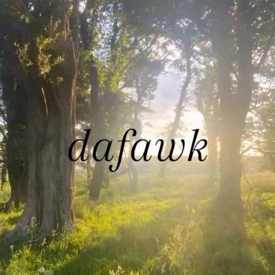 bemyninetyfive's profile picture. i used to know you, well.