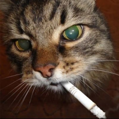 Marco_2308's profile picture. rj