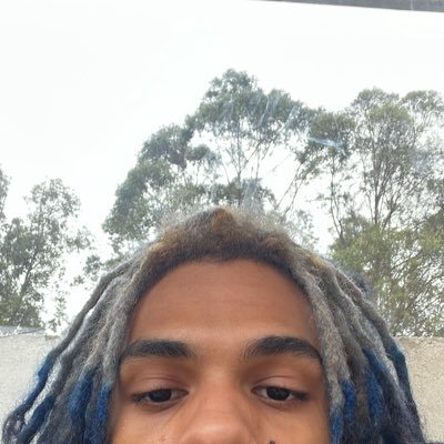 shadzxrp's profile picture.