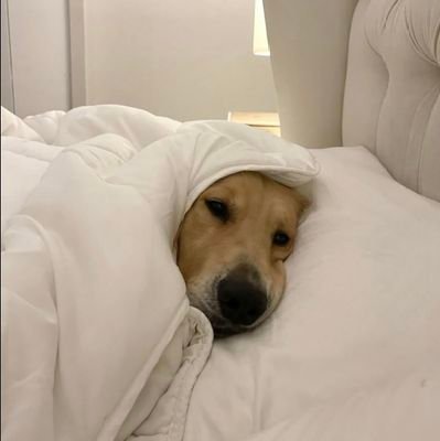 Pattraaa_Pp's profile picture. หิ้วเราใส่กระเป๋าไปกับเธอที