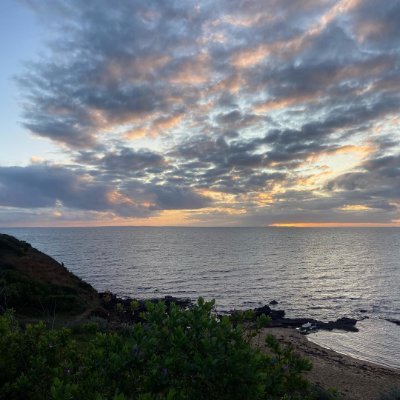 Fairy_535623's profile picture. 