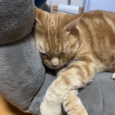 kwbrerk's profile picture. 