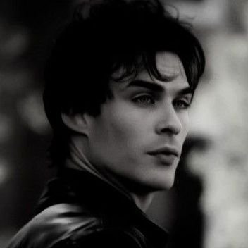 damon_svlvatore's profile picture. 29. ✱ genderfluid, entp, sag.