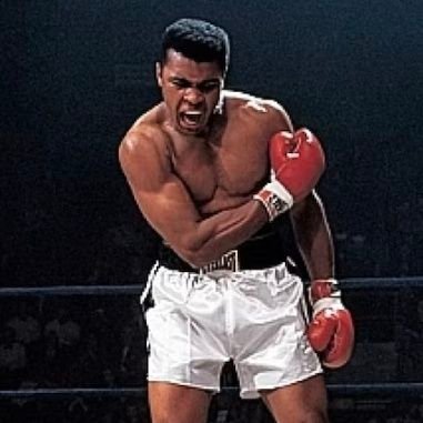 realcameroonian's profile picture. R A N D O M