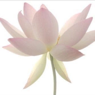 seok078700's profile picture. 