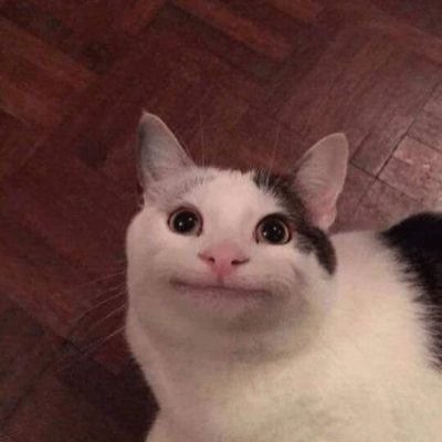 Geo_meister474's profile picture. 