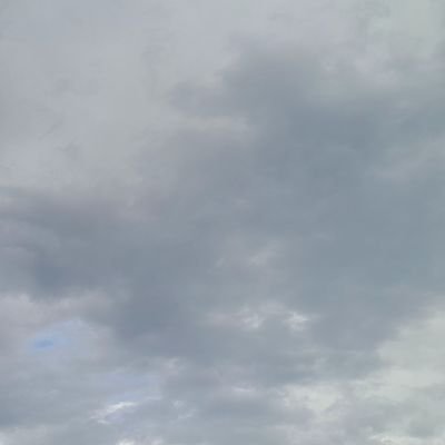 mibn9199's profile picture. Look