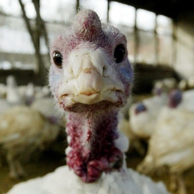 paaaaaaav0's profile picture. 