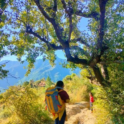 journal_vs's profile picture. Early Childhood Education. AUD'21. 
Dilli - Uttarakhand.