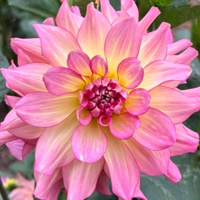 zizistarduzt's profile picture. 🫢🫡😵‍💫🤗🤭🤯😏🤪🥲😭😍🐰